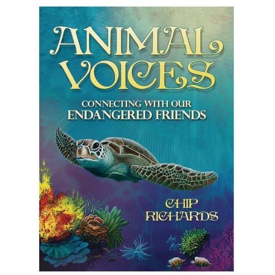 Animal Voices Kids Cards by Chip Richards