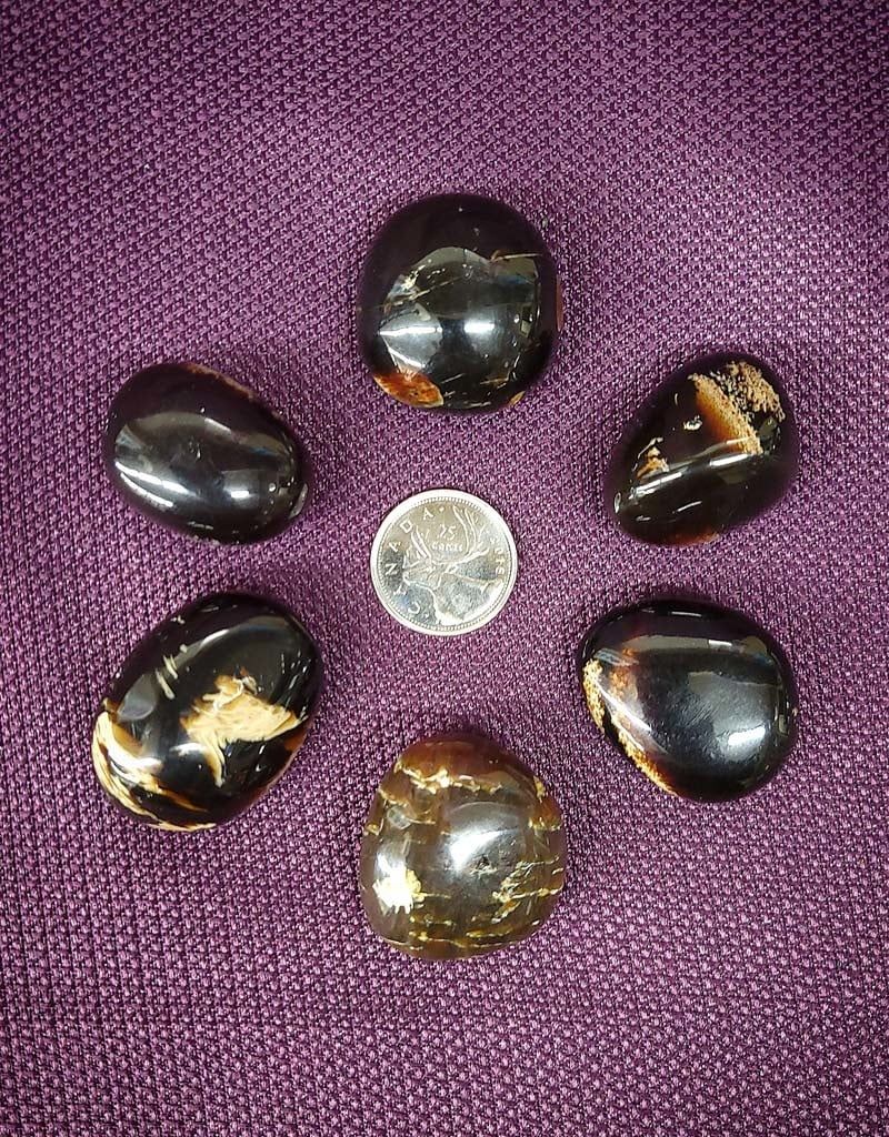 Zebra Amber Tumble