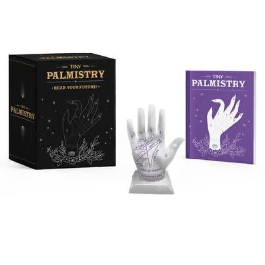 Tiny Palmistry Kit
