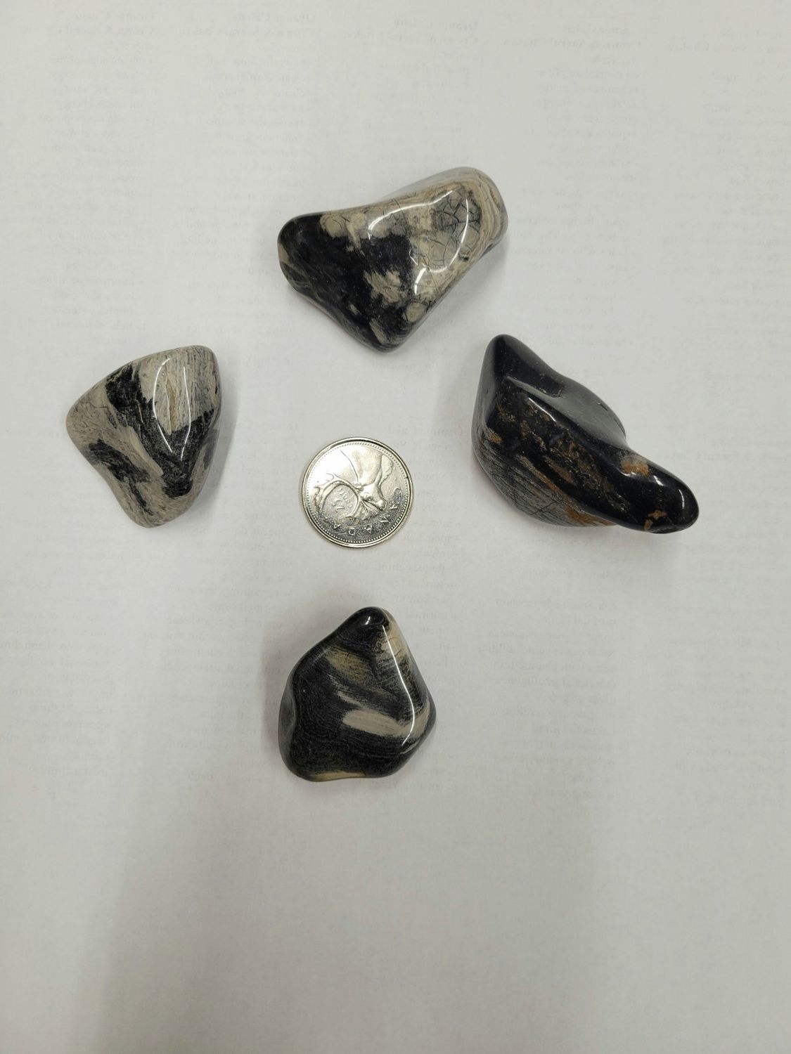 Silver Leaf Jasper Tumbled