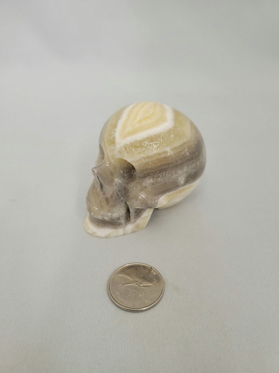 Zebra Calcite Skull $66