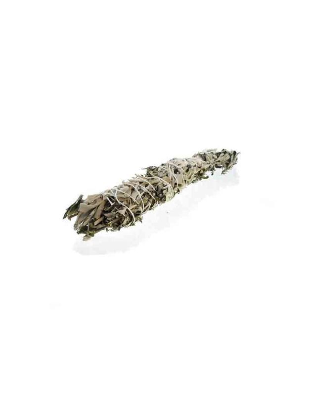 8&quot; Mugwort &amp;  White Sage Stick  Locally Grown Organic