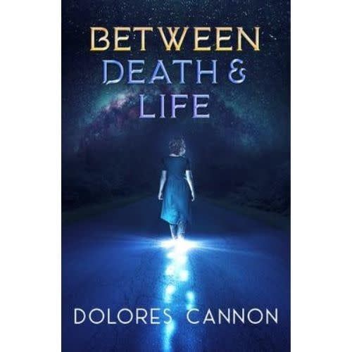 Between Death and Life by Dolores Cannon