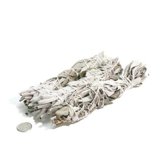6&quot; White Sage Stick Organically Grown Locally