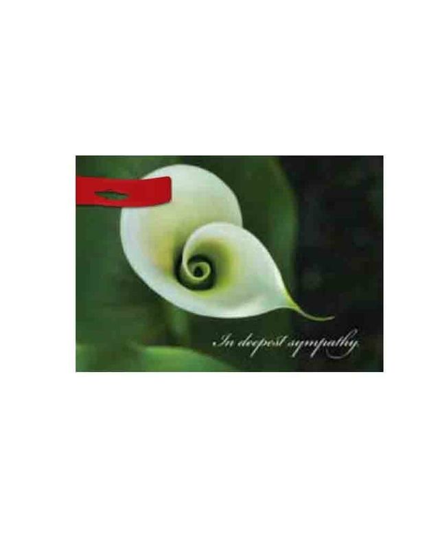 In Deepest Sympathy - Greeting Card