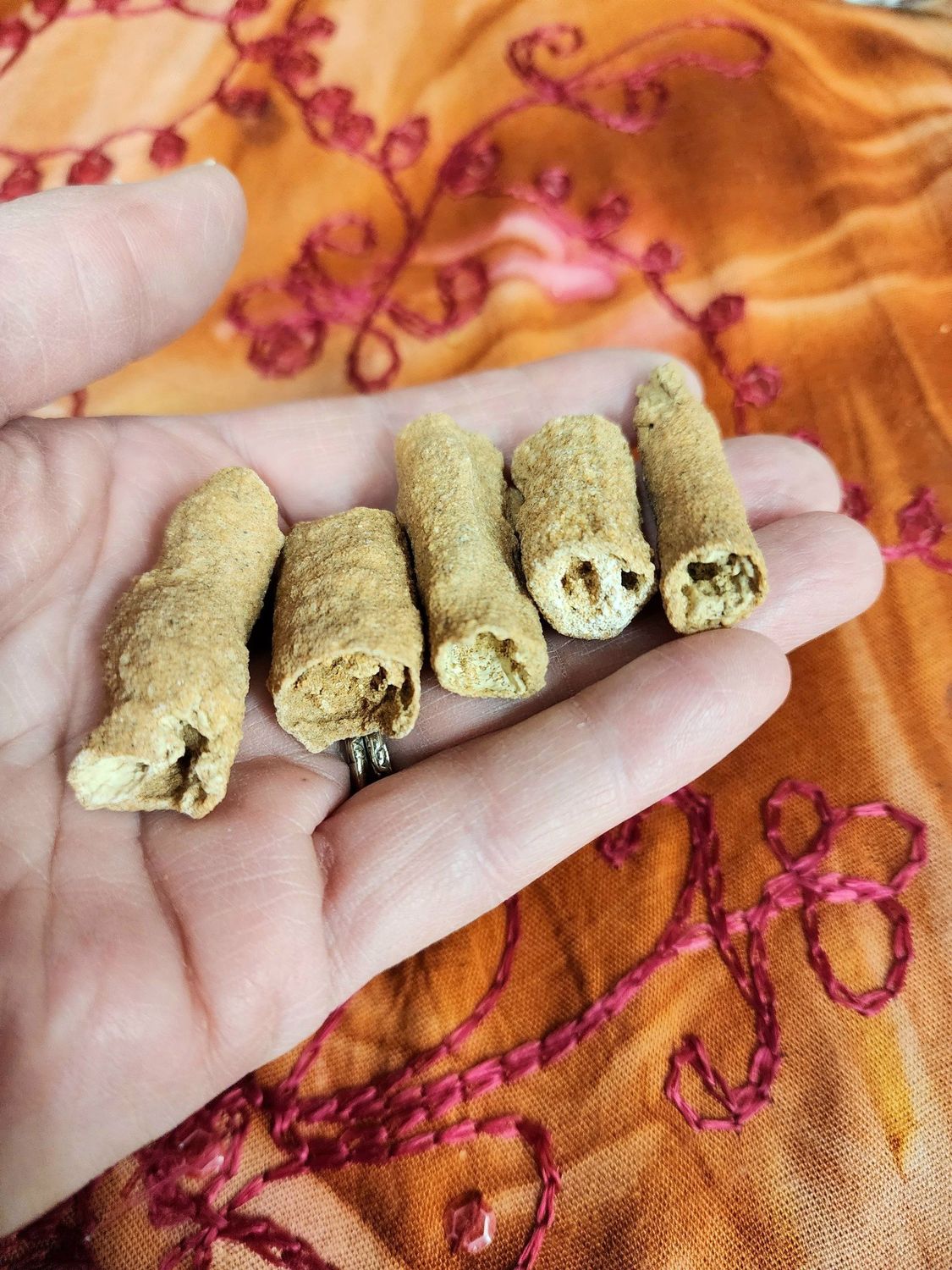 Fulgurite Tubes (Fossilized Lightening)