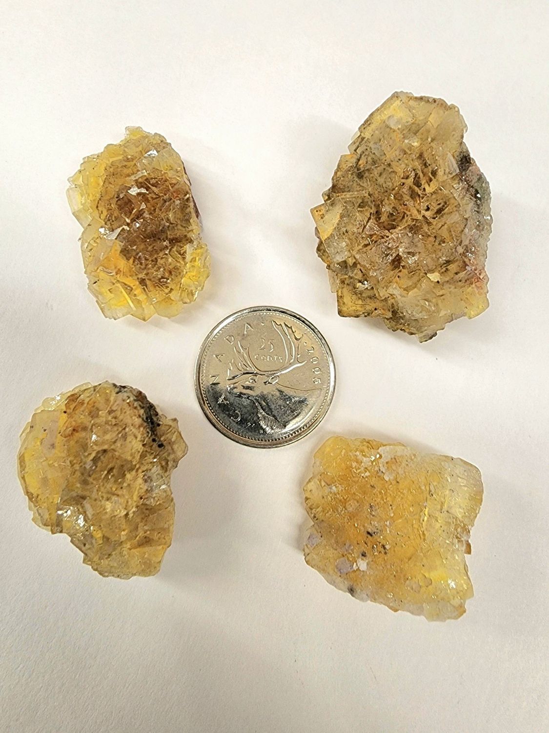 Yellow Fluorite Clusters (Muscona Mine)