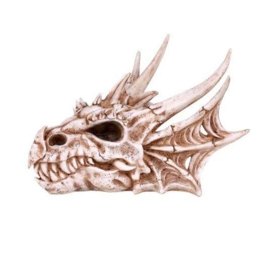 Dragon Skull Head  - Box  7&quot; x 10.5&quot;