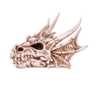 Dragon Skull Head  - Box  7" x 10.5"