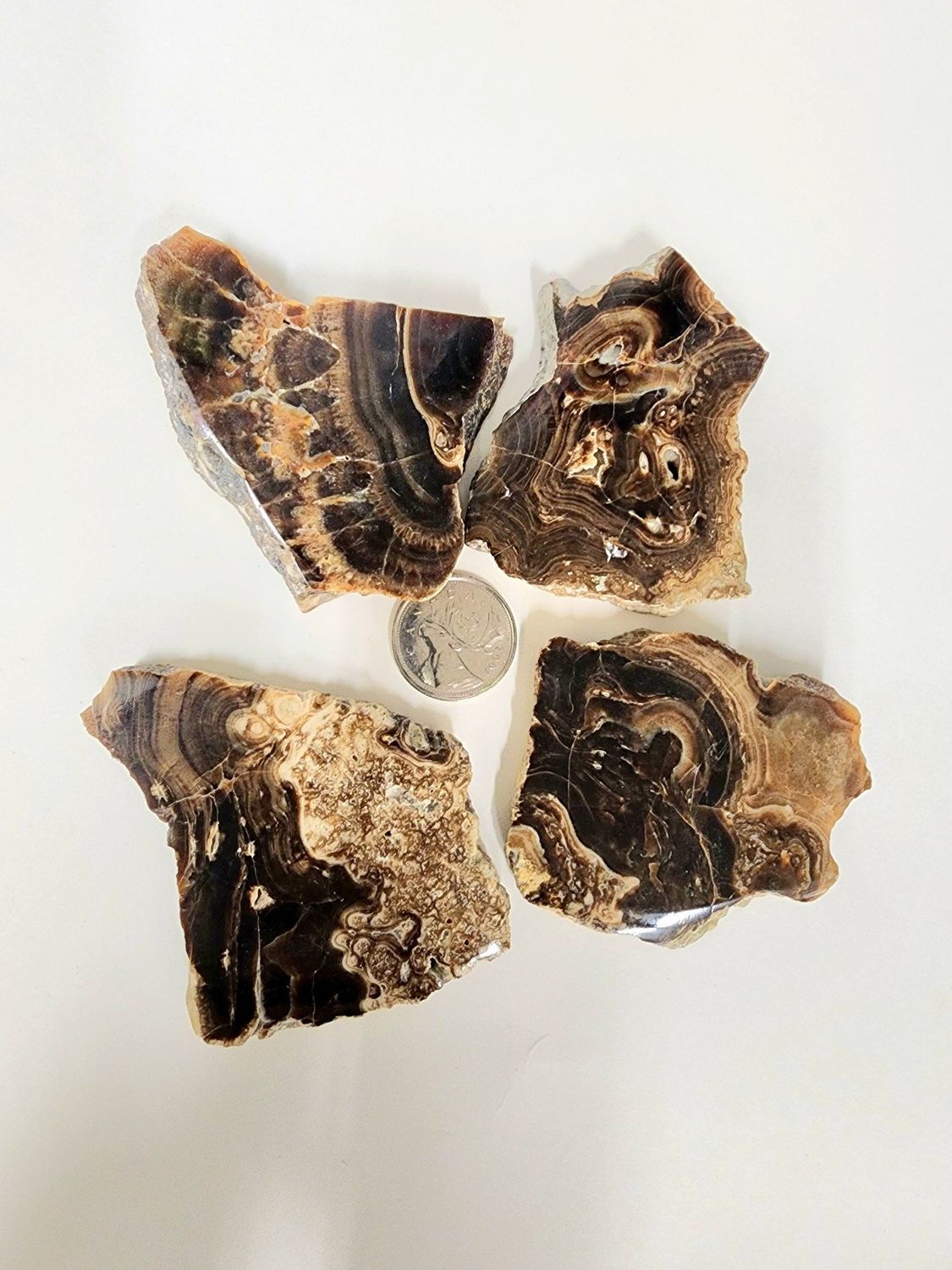 Chocolate / Coke Calcite Slices