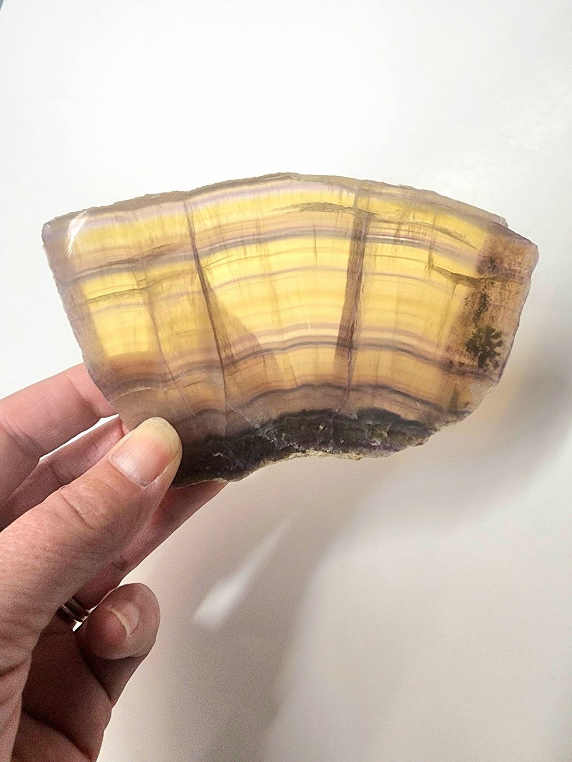 Yellow Fluorite Slab  5&quot;