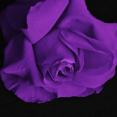 Reiki, Readings, Workshops &amp; Classes