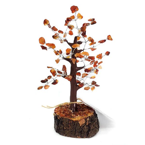 Carnelain Bonsai Tree - 6&quot;-9&quot;