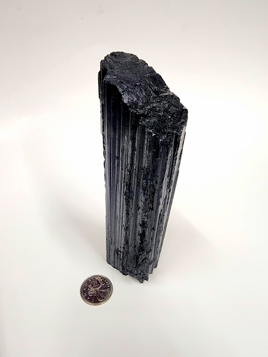 Raw Black Tourmaline Standing 6&quot;