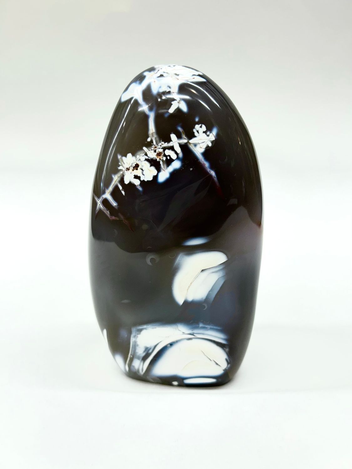 Orca Agate Freeform 5.5&quot;