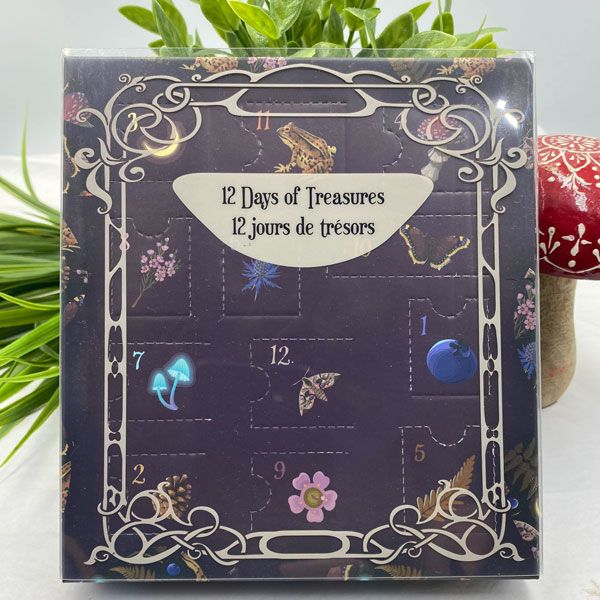 Nature&#39;s Forest Advent Calendar