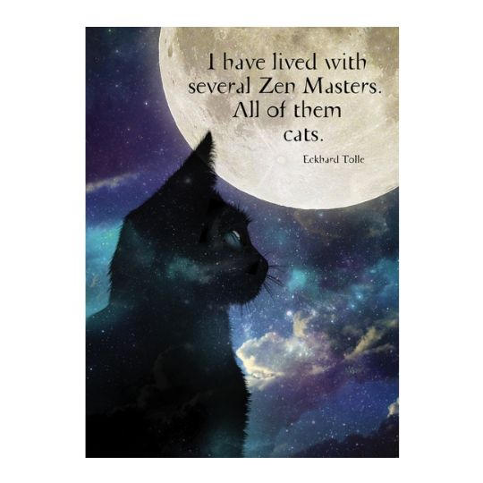 Zen Cats Greeting Card