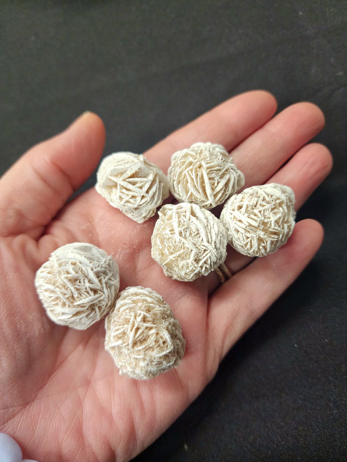 Desert Rose Medium $1.50