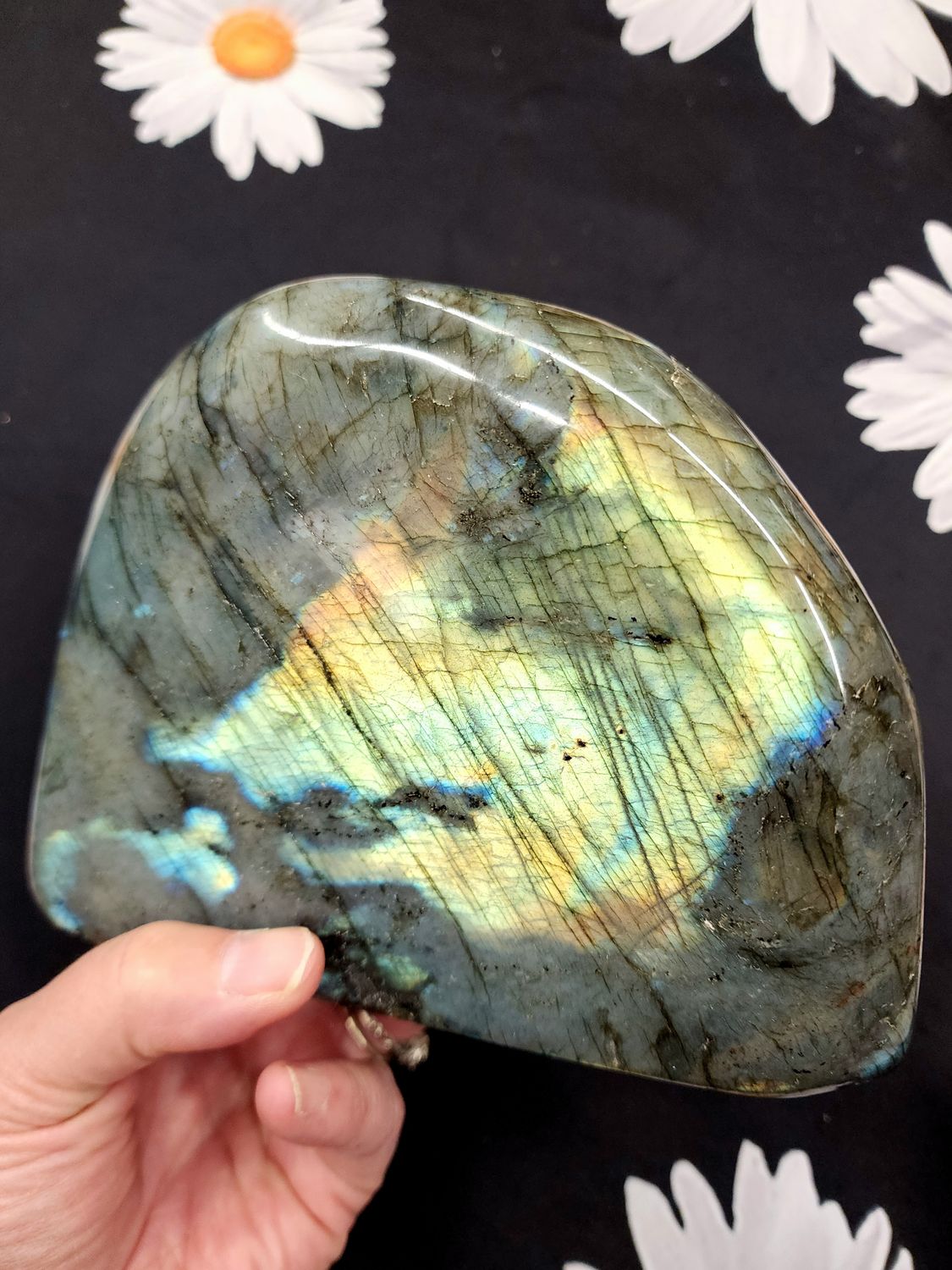 Labradorite Freeform Standing