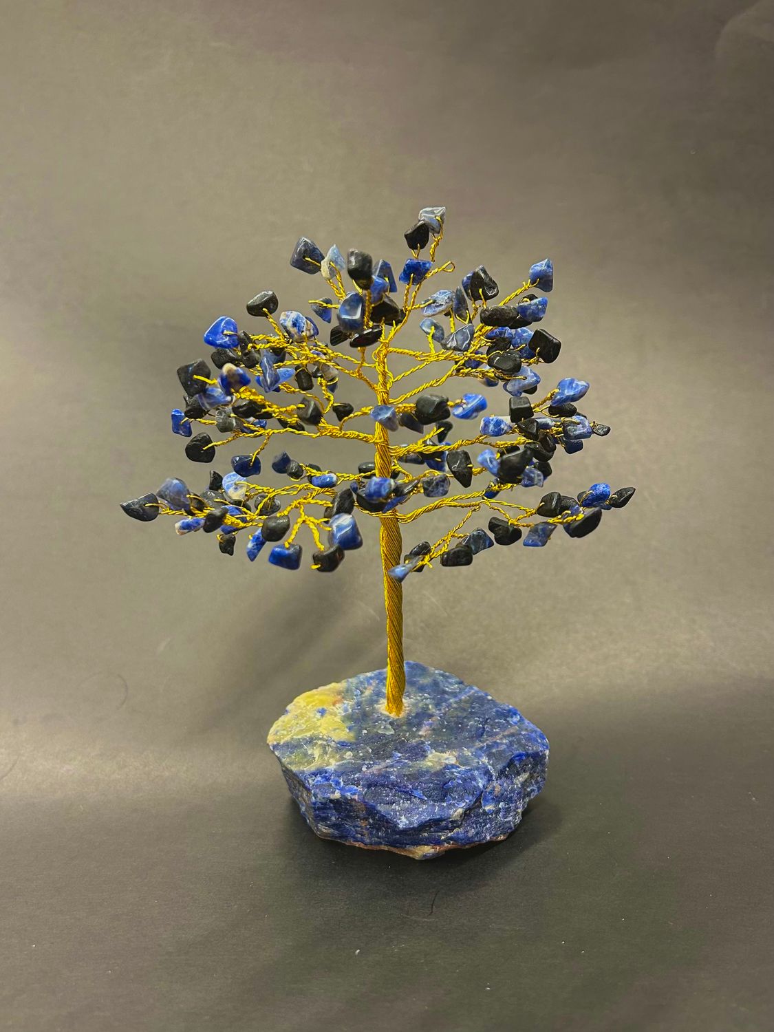 Black Tourmaline Gem Tree on Sodalite Base