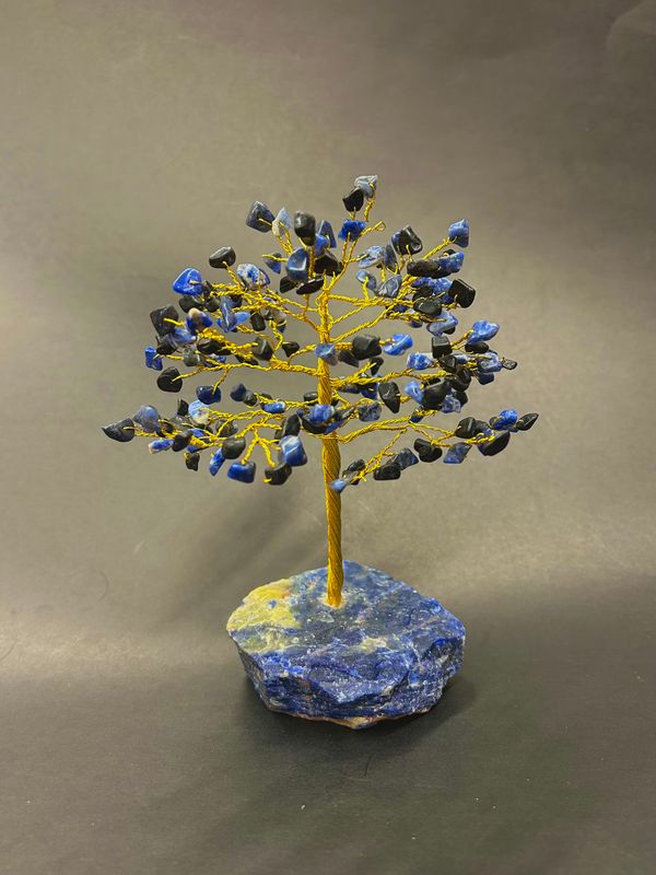 Black Tourmaline Gem Tree on Sodalite Base