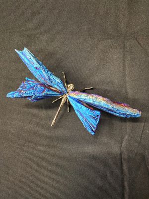 Cobalt Aura Black Kyanite Dragonfly