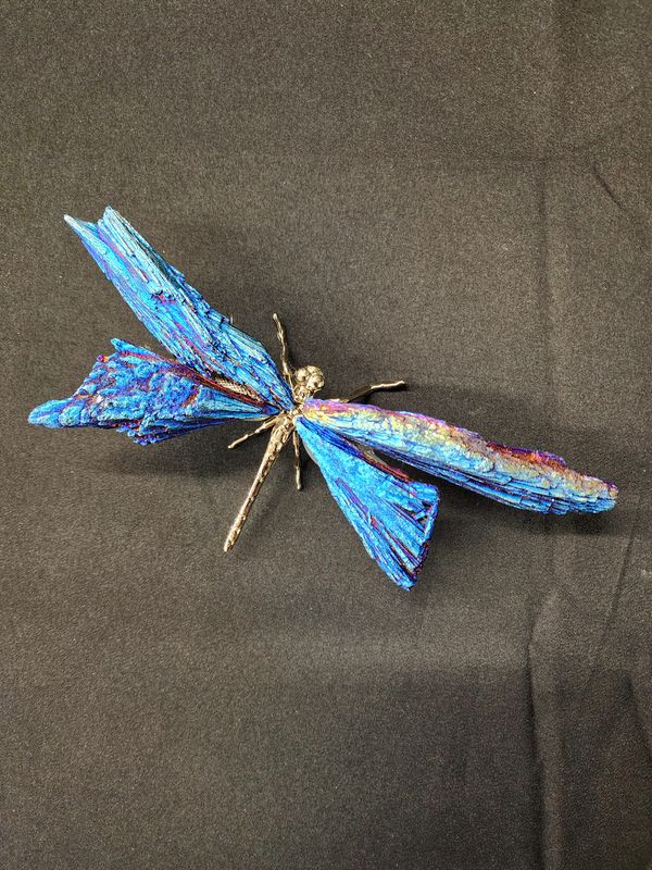 Cobalt Aura Black Kyanite Dragonfly