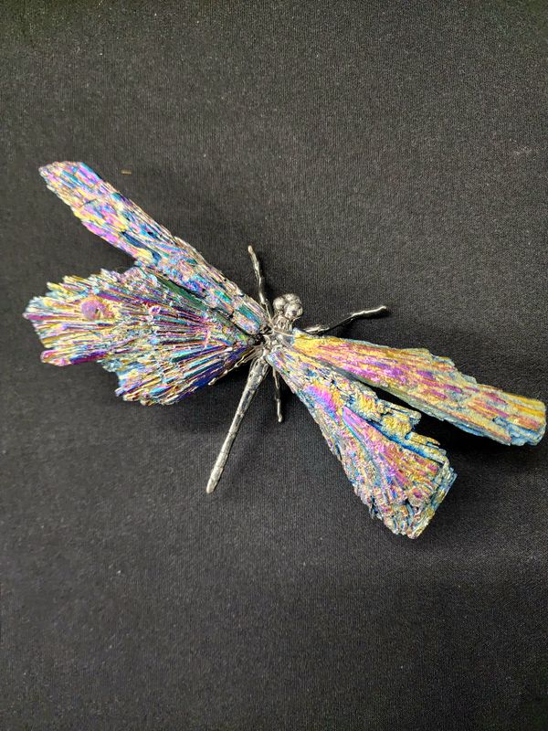Rainbow Titanium Aura Black Kyanite Dragonfly