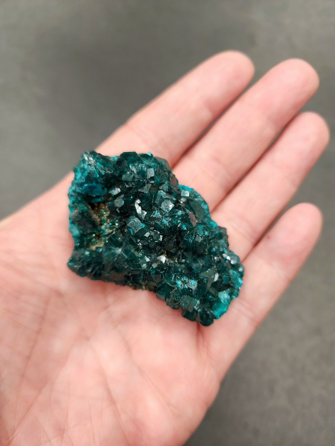 Dioptase Cluster - large