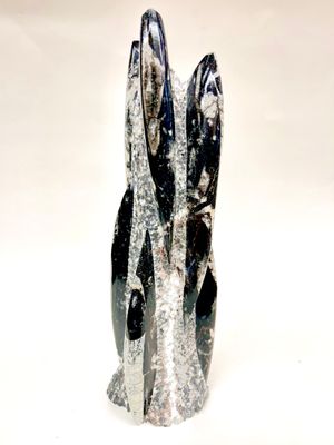 Orthoceras Fossil Cluster 13.75&quot;