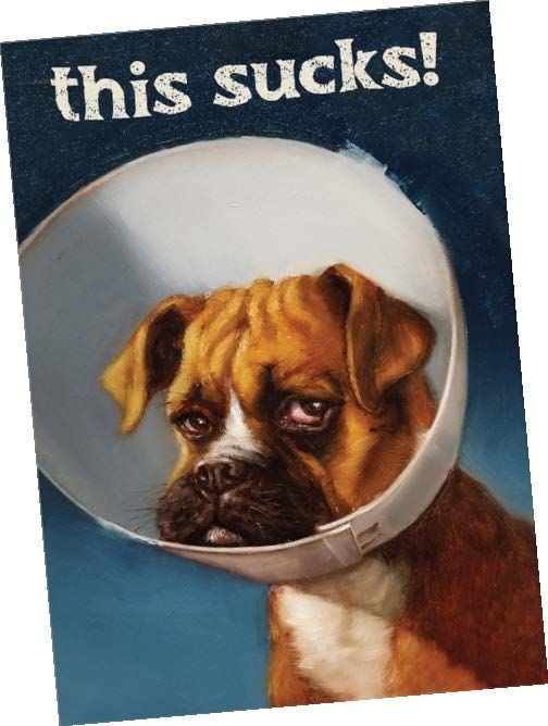 Cone of Shame - Greeting Card