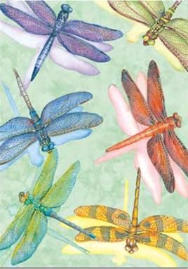 Dragonflies - Greeting Card