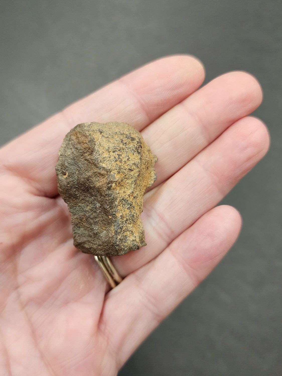 Meteorite - Morocco NWA869