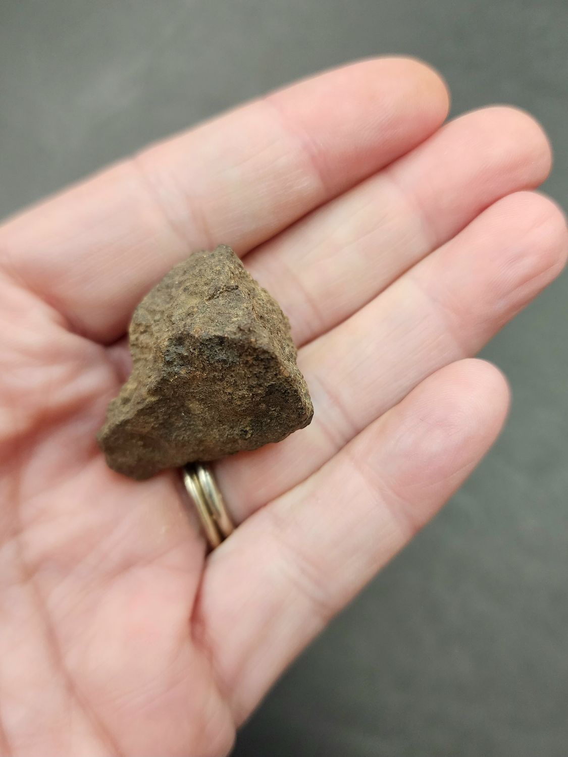 Meteorite - Morocco NWA869  a
