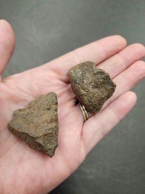 Meteorite - Morocco NWA869 b