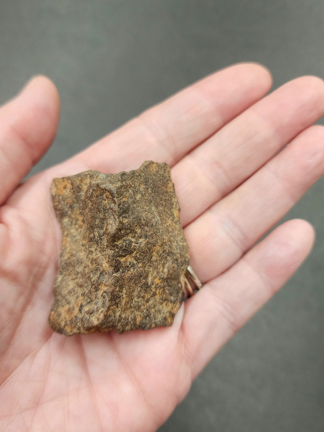 Meteorite - Morocco NWA869  e