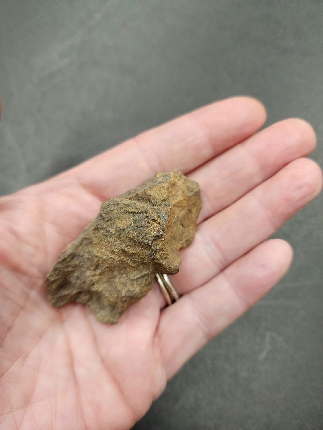 Meteorite - Morocco NWA869  d