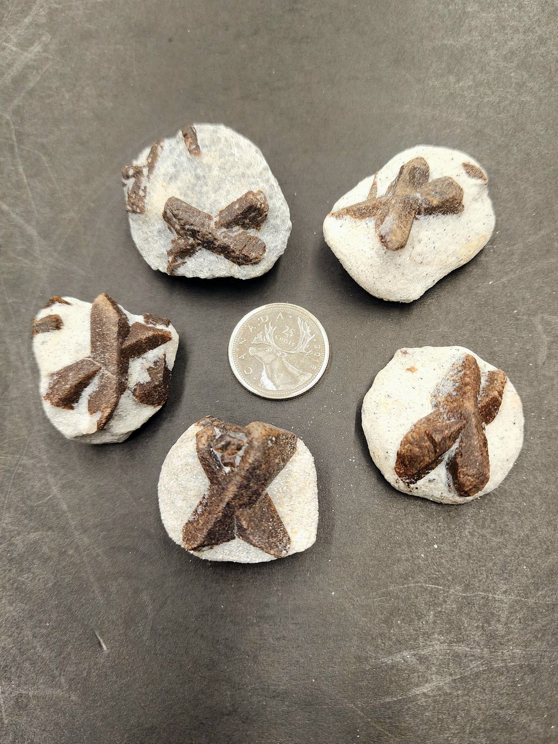 Staurolite (Fairy Cross)