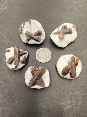 Staurolite (Fairy Cross)