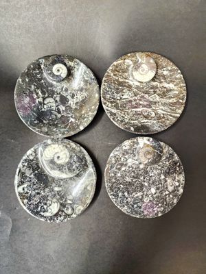 Ammonite Fossil Dish  Round 4.5&quot;