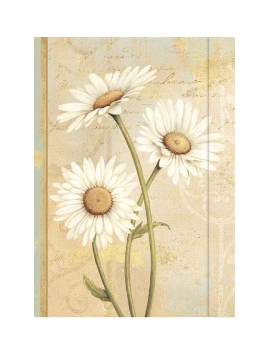 Journal - Beautiful Daisies 5&quot; x 7&quot;