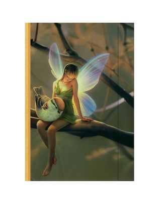 Journal - Fairy and Bird 5&quot; x 7&quot;