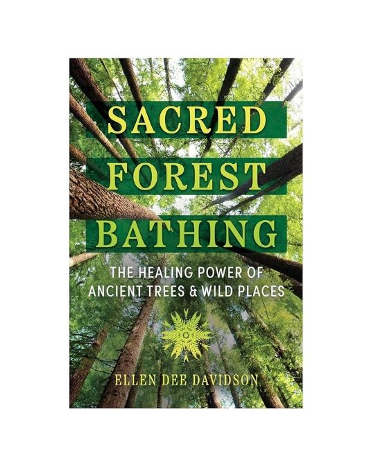 Sacred Forest Bathing by Ellen Dee Davidson