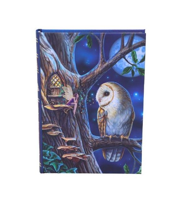 Fairy &amp; Owl Journal