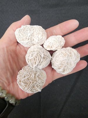 Desert Rose Medium