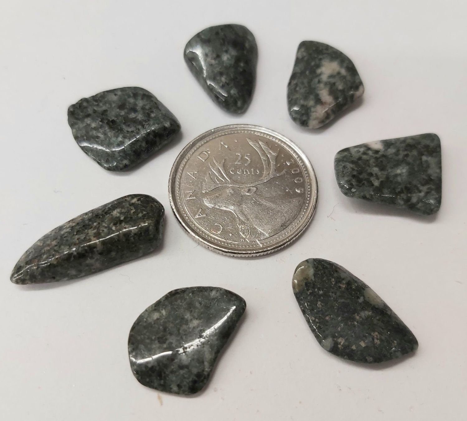 Preseli Bluestone Tumbled - Stonehenge Stone