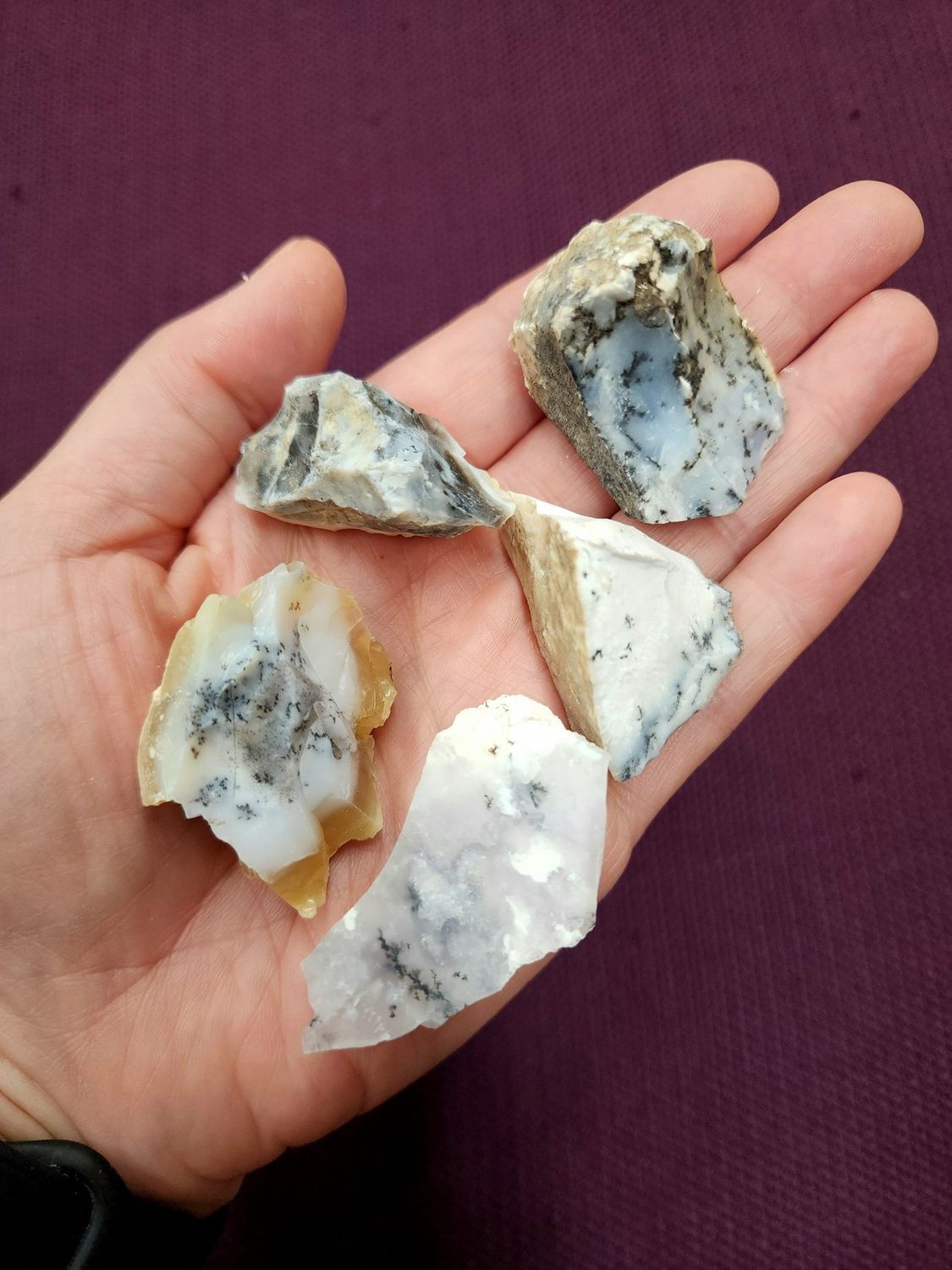 Merlinite / Dendritic Agate Raw