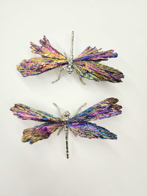 Rainbow Titanium Aura Black Kyanite Dragonfly