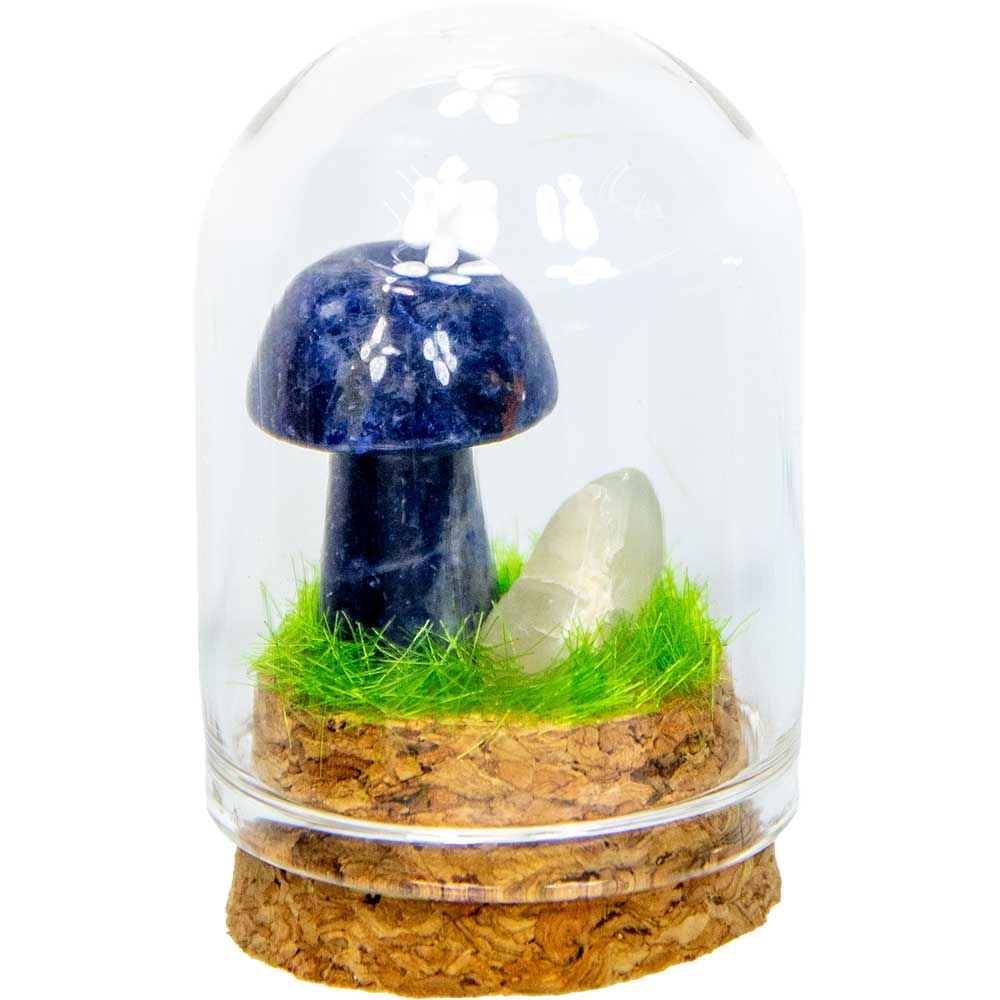 Mini Mushroom Terrarium 2" - Sodalite