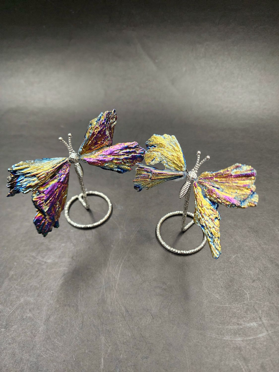 Rainbow Titanium Aura Black Kyanite Butterfly on Stand